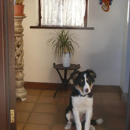 Doolin Cottage Accommodation