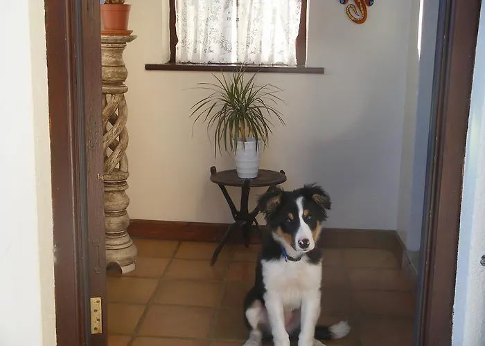 Doolin Cottage Accommodation